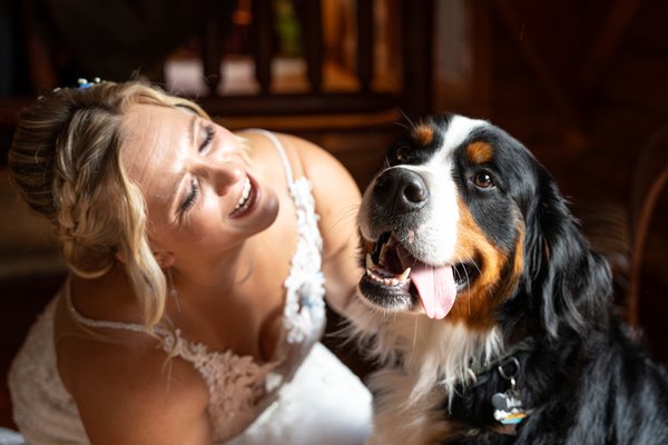 Wedding example