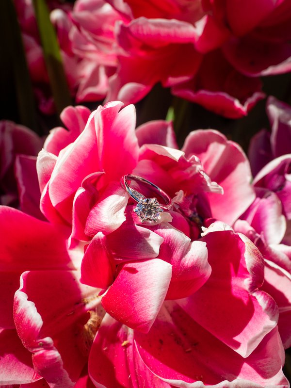 Engagement example