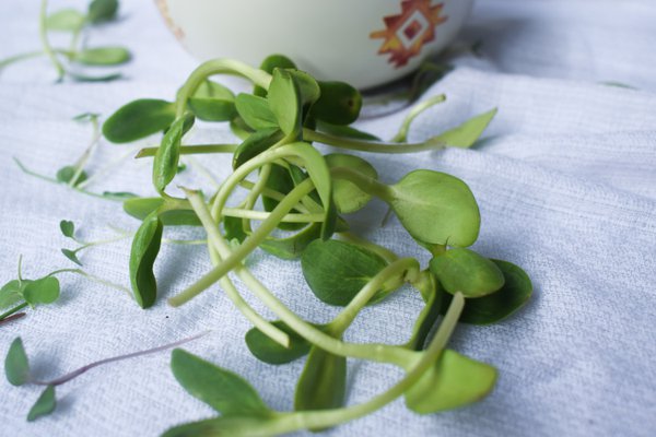 Food example