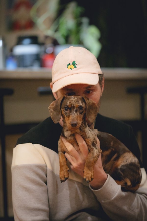 Pet example