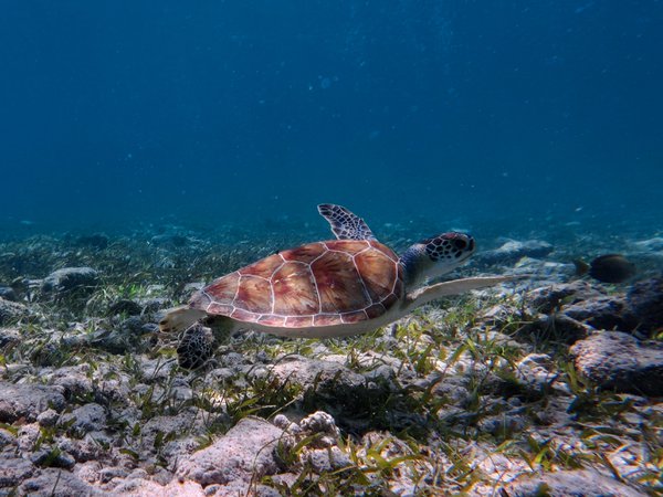 Travel example