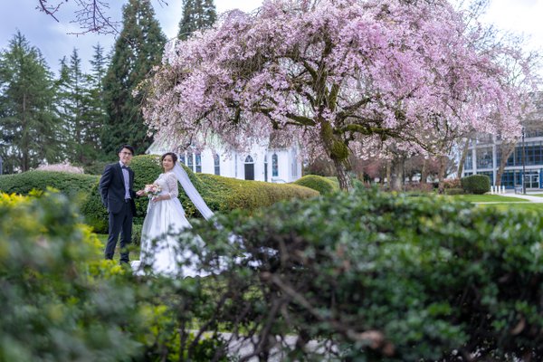 Wedding example