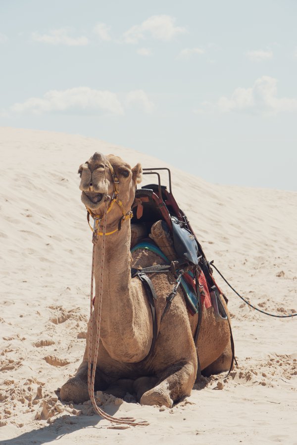 Travel example