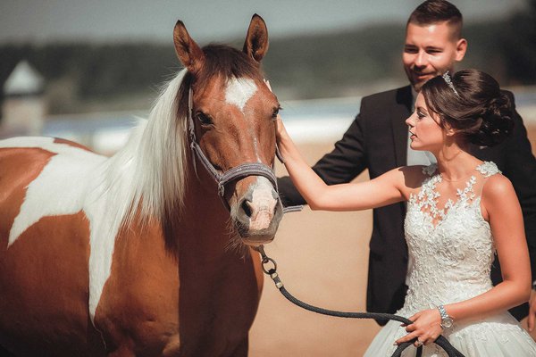 Wedding example