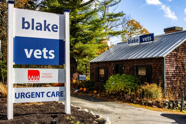 Team & Office example