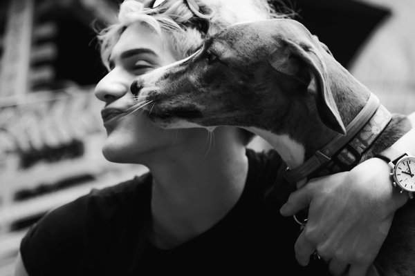 Pet example