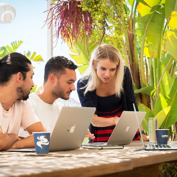 Team & Office example