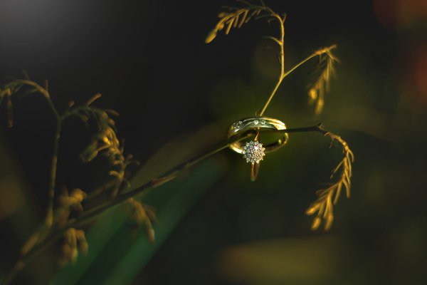 Engagement example