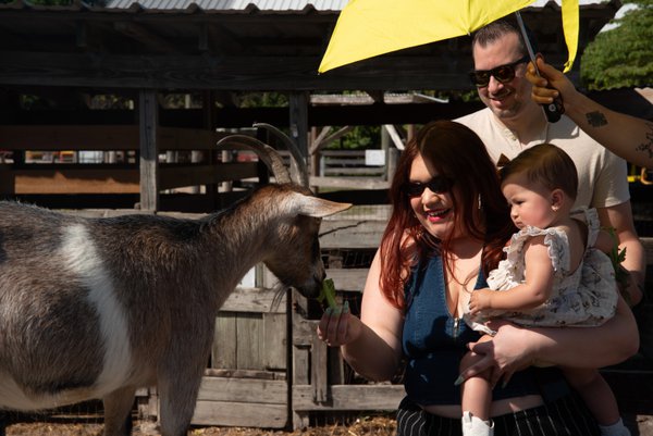 Family example