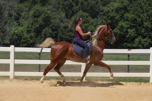 Sport example