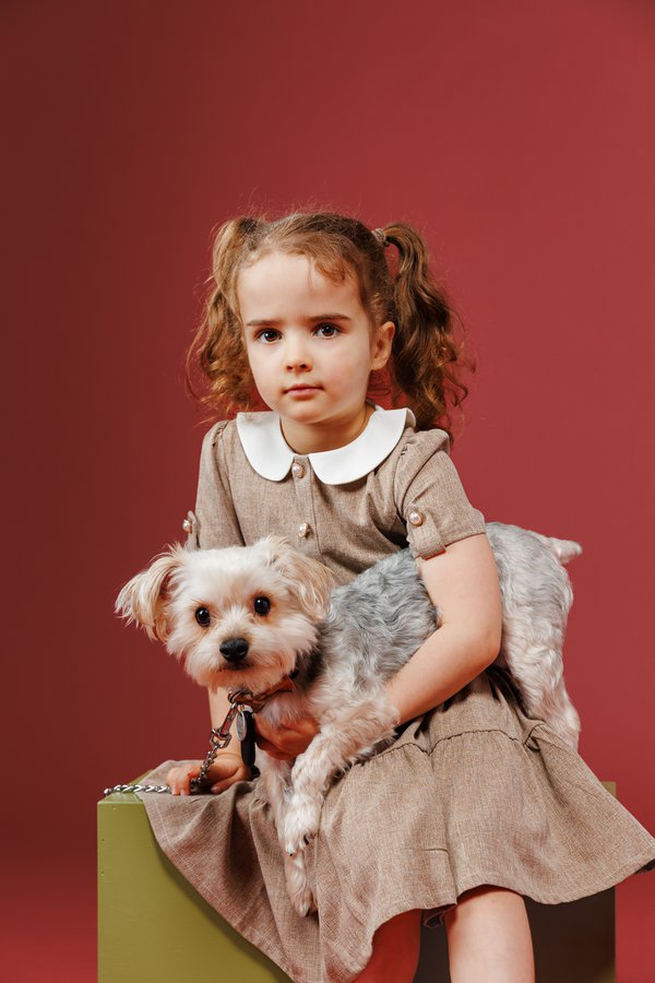 Pet example