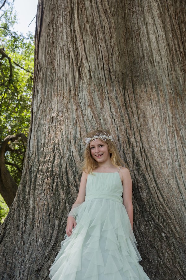 Wedding example