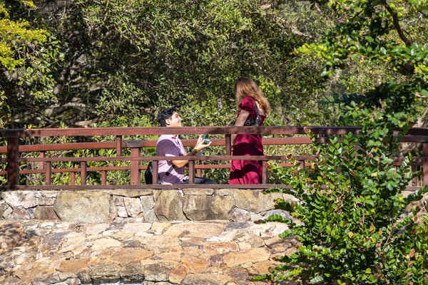 Engagement example