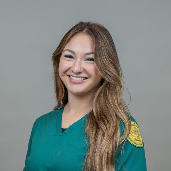 Team & Office example