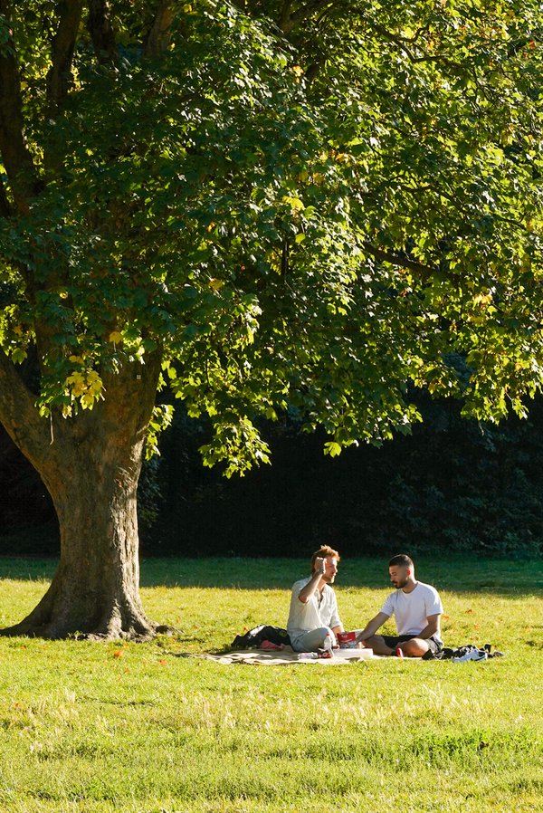 Dating Portrait example