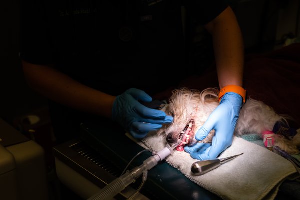 Team & Office example