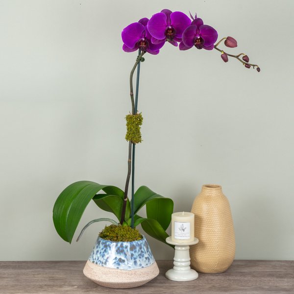 Product example