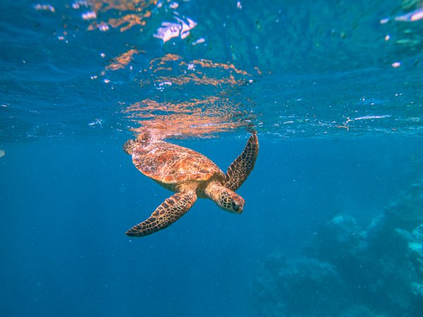 Travel example