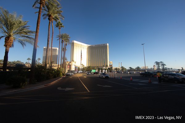 Team & Office example