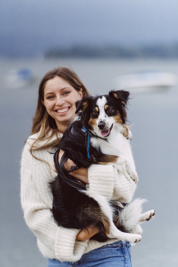 Pet example