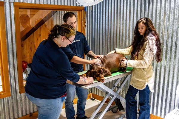 Team & Office example