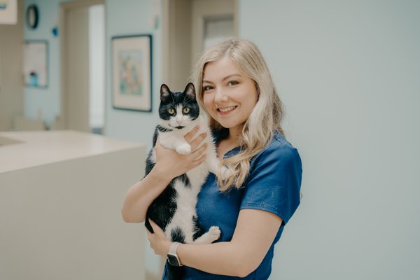 Team & Office example