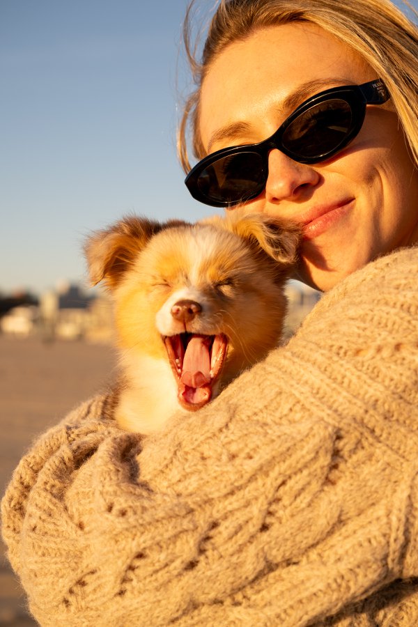 Pet example