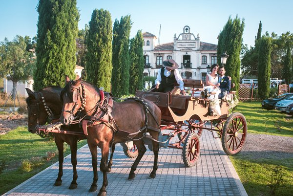 Wedding example