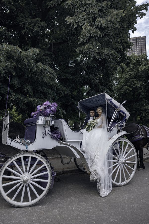 Wedding example