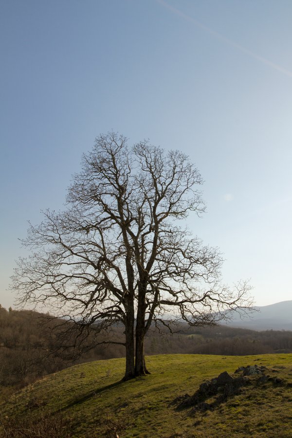 Travel example