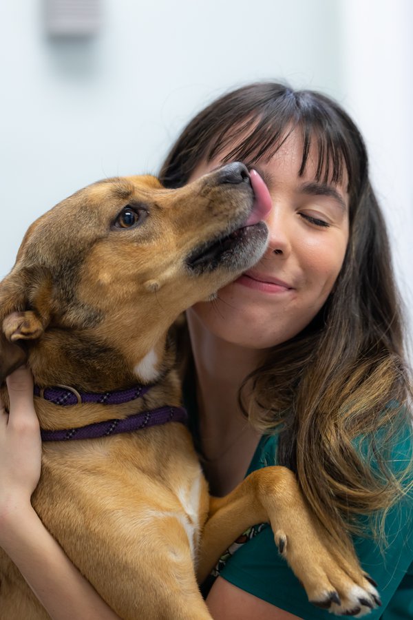 Team & Office example