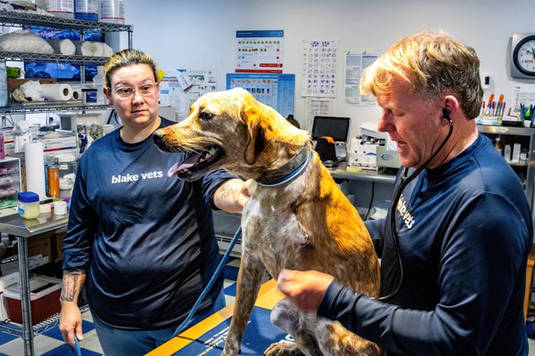 Team & Office example