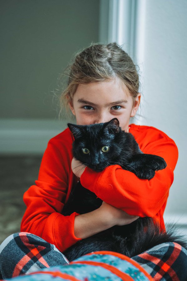 Pet example