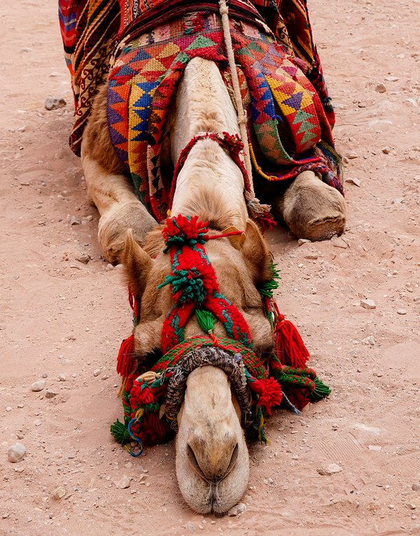 Travel example