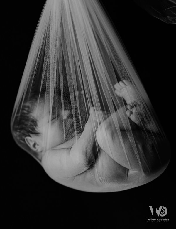 Newborn example