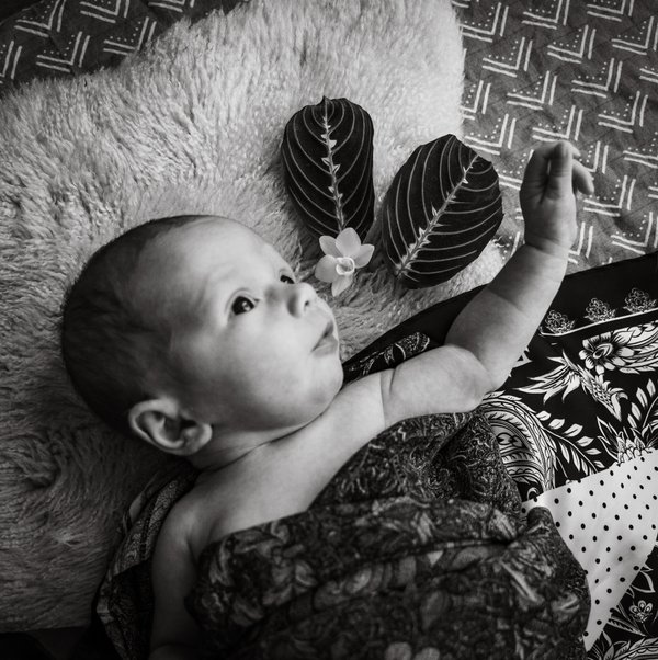 Newborn example