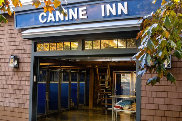 Team & Office example