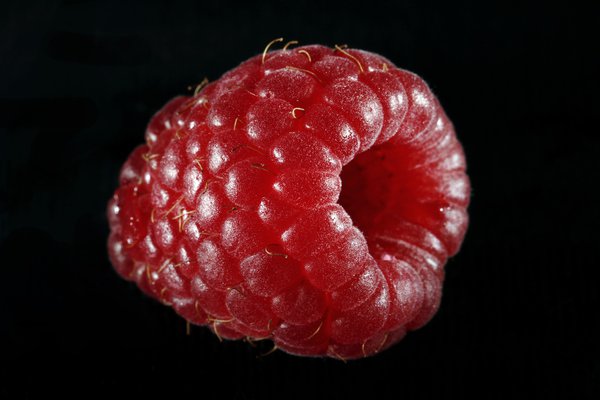 Food example