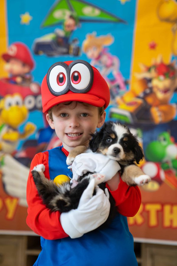 Pet example