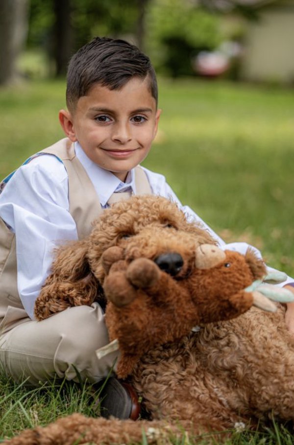 Pet example