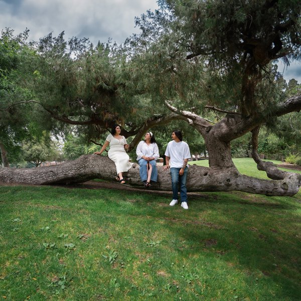 Family example