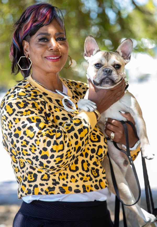 Pet example