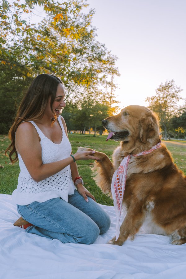Pet example
