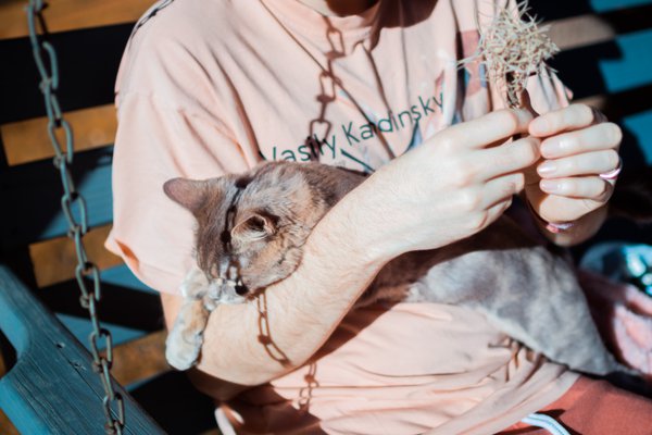 Pet example