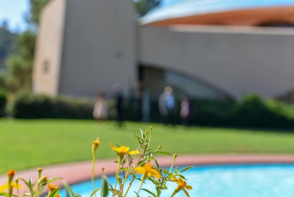 Wedding example