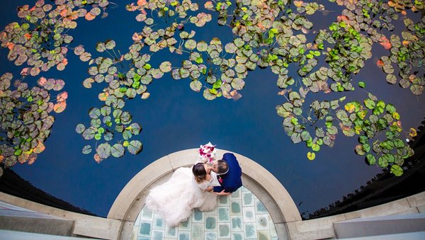 Wedding example