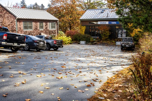 Team & Office example