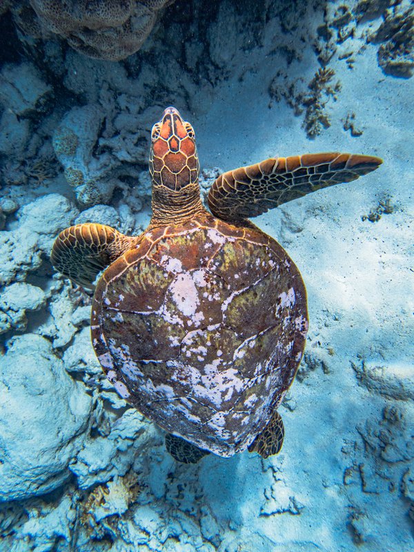 Travel example