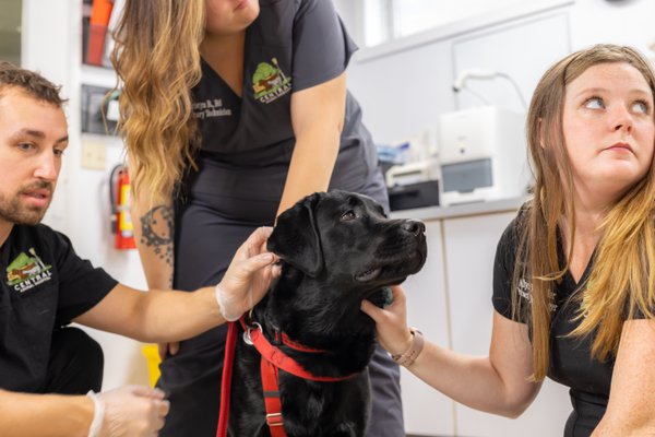 Team & Office example