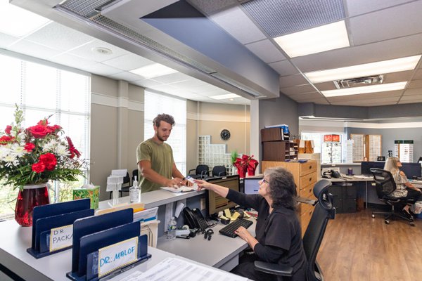 Team & Office example